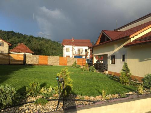 a yard of a house with a green lawn at Casa De Sub Piatra in Baia de Fier