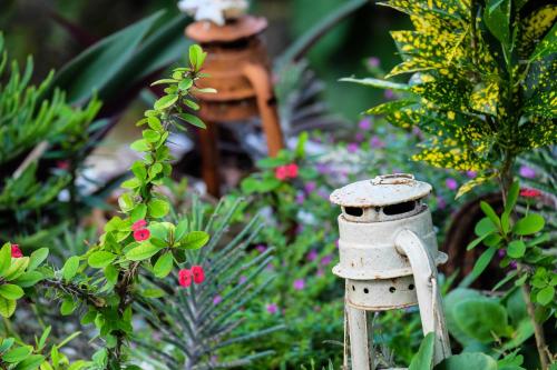 a garden with a bird feeder and flowers at Seasons Lodge Zanzibar in Pongwe