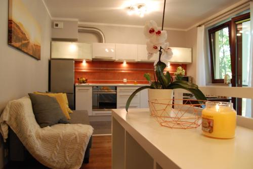 Sopot Oasis Apartmentにあるキッチンまたは簡易キッチン