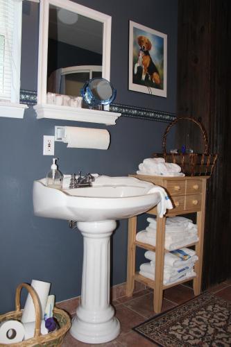 a bathroom with a white sink and a mirror at Arkadia Eastman B&B in Eastman