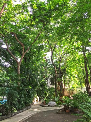 a park with a lot of trees and plants at Rio Monte Residence in Bangkok