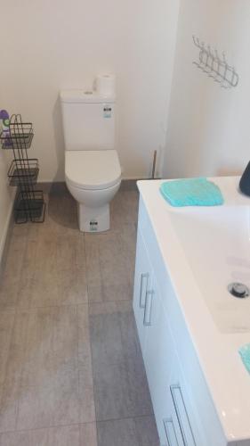 a bathroom with a white toilet and a sink at Ocean Purring Views in Tutukaka