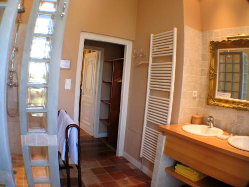 a bathroom with a sink and a mirror at Domaine du Pegulier in Montaut-Ariège