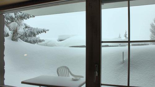 Haus Azalea en invierno