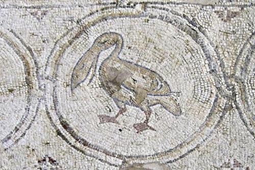 a drawing of a bird on a mosaic floor at Villa Alice Caesarea in Caesarea