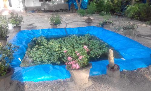 a blue tarp with a plant in a garden at Marari Bethsaida Homestay in Shertallai