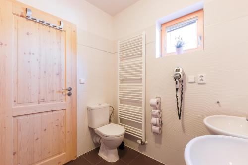 a bathroom with a toilet and a sink and a window at Chalet6harrachov se saunou in Harrachov