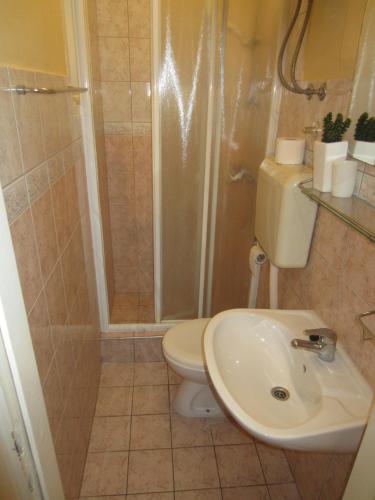 a bathroom with a shower and a toilet and a sink at Apartments Morgen in Brna