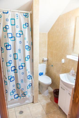 a bathroom with a toilet and a shower curtain at Casa Andreea in Suceviţa