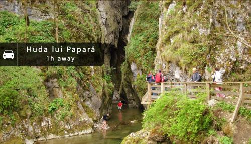 a group of people standing on a bridge over a river at Casa Petri Rosia Montana in Roşia Montană
