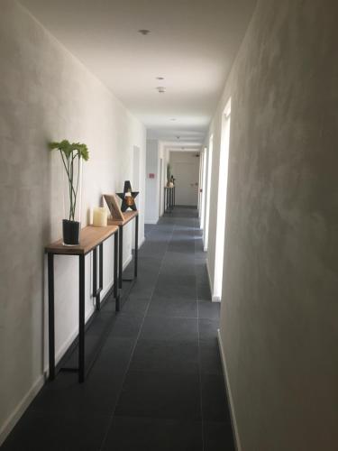 Fotografie z fotogalerie ubytování B&B La Douceur de la Miclette v destinaci Ellezelles