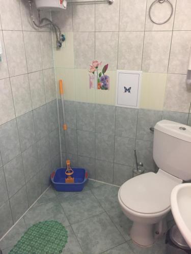 a bathroom with a toilet and a shower at Guest House Hetodon in Sozopol