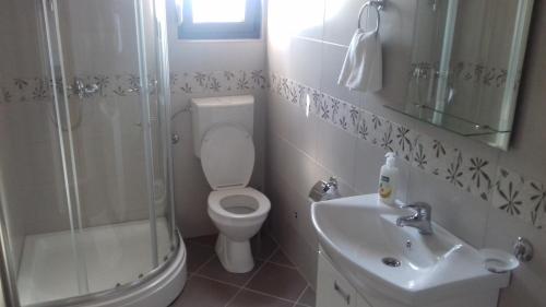 a bathroom with a toilet and a shower and a sink at Apartments Delić in Nikšić