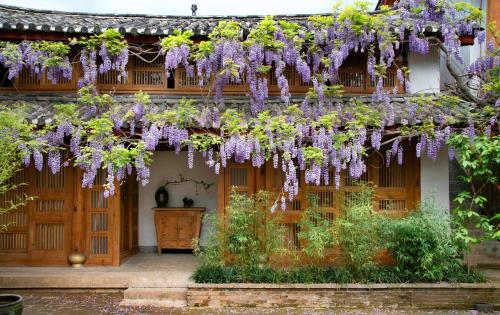 un bâtiment avec des fleurs violettes suspendues dans l'établissement 吾爱堂, à Lijiang