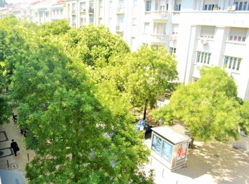 an overhead view of trees in front of a building at Feeling Eduardo VII in Lisbon