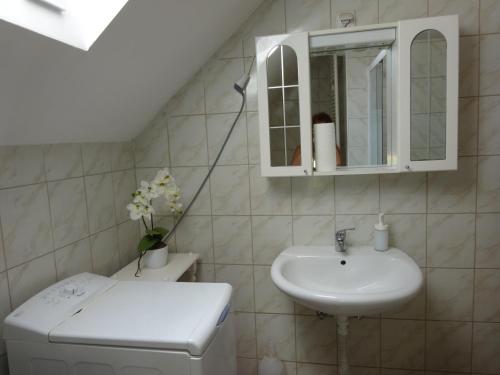 a bathroom with a sink and a toilet and a mirror at Muskátlis apartman in Budakeszi