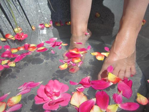 a person standing in the water with pink flowers at Ferienhaus Mandlhof in Weer