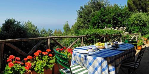 une table à damiers bleu et blanc avec des fruits et des fleurs dans l'établissement B&B Al Cavalluccio Marino, à Monte Marcello