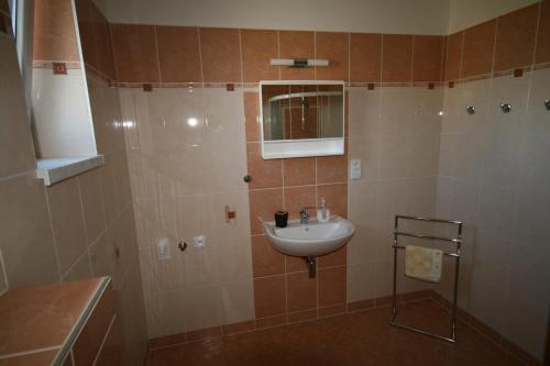 a bathroom with a sink and a mirror at Ubytování v Proseči in Proseč