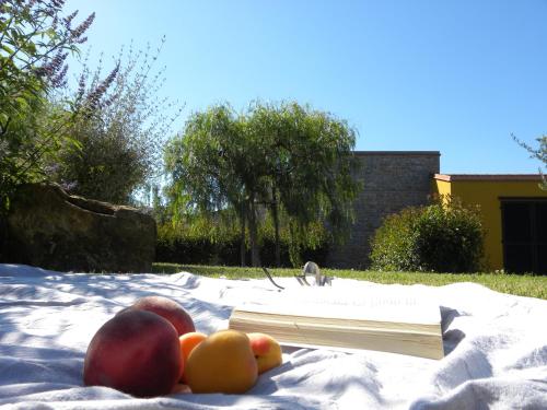 an open book on a blanket with fruit on it at ReBi Village in Imperia