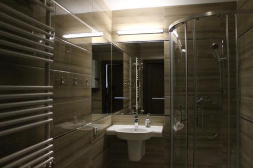 ミエルノにあるApartament Anna Park Rodzinnaのバスルーム(洗面台、ガラス張りのシャワー付)