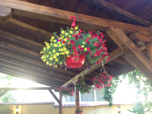 una cesta colgante de flores en el techo de madera en Guest House PIP, en Velingrad