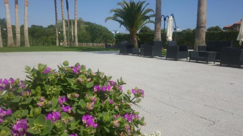 a group of chairs and flowers in a park at Hotel La Palma de Llanes in Llanes