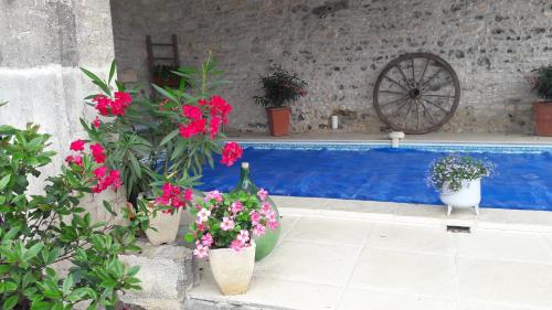 a bunch of flowers in pots next to a swimming pool at La charentaise ch d'hôtes ,Studio in Chérac