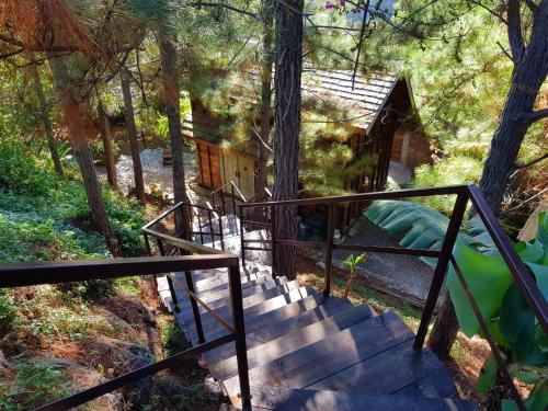 a set of stairs leading to a house with a tree at Chalet De Tahiti in Punaauia