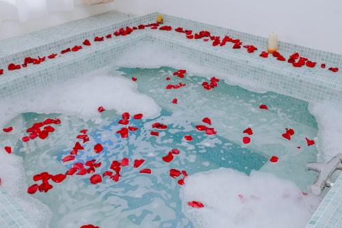 a swimming pool covered in snow with red flowers in it at Pensiunea Diana in Argeşelu