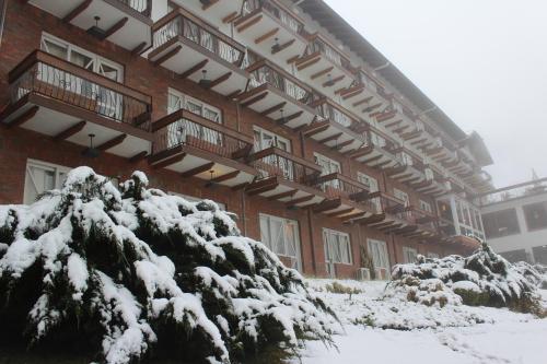 un edificio con un árbol cubierto de nieve delante de él en Hotel Alpestre, en Gramado