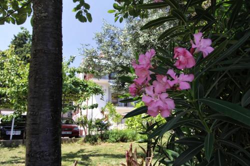 Gallery image of Guesthouse Villa Stanger in Lovran