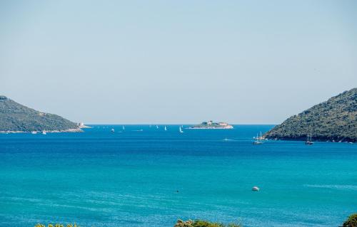Φυσικό τοπίο κοντά σε αυτό το διαμέρισμα