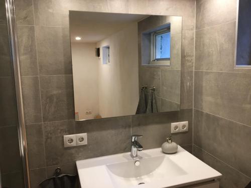 een badkamer met een wastafel en een spiegel bij Vakantie appartement Villa Diana in Valkenburg