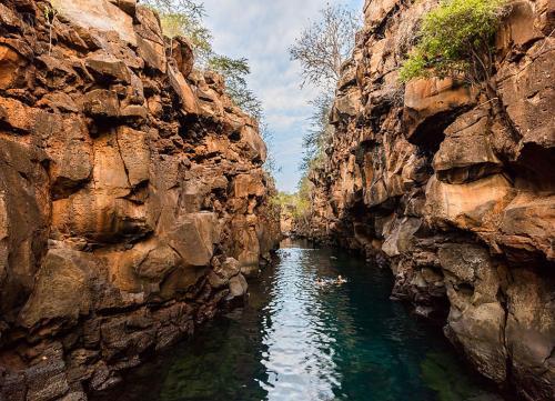 a view of a river between two rocky cliffs at Lava Heron Galapagos Apartment in Puerto Ayora