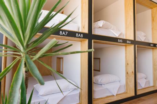 Ένα ή περισσότερα κρεβάτια σε δωμάτιο στο Woopi Backpackers