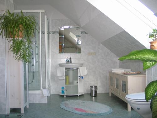 a bathroom with a shower and a sink and a toilet at Ferienhaus Zur Schmiede in Göhren-Lebbin