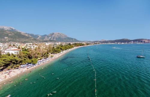 an aerial view of a beach with a boat in the water at Villa Antivari in Bar