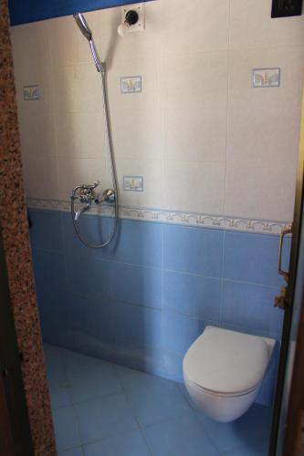a bathroom with a toilet and a shower at Classic Dineout in Gandhinagar