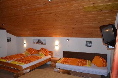 a bedroom with two beds and a tv in a room at Appartement Haus Gatterer in Obertilliach