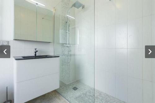 une salle de bain blanche avec une douche et un lavabo dans l'établissement Modern Croisette & Palm Beach, à Cannes