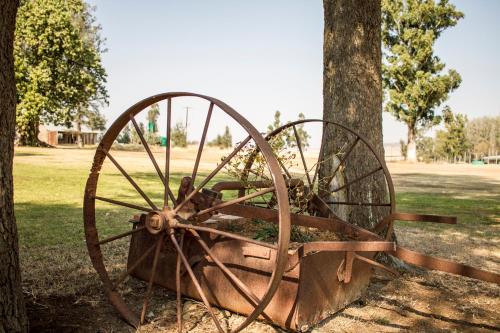 a large metal wheel sitting next to a tree at Dalmore Guest Farm in Bergville