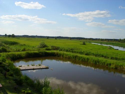 a river in the middle of a grassy field at Agroturystyka nad Biebrza Sośniaki in Goniadz