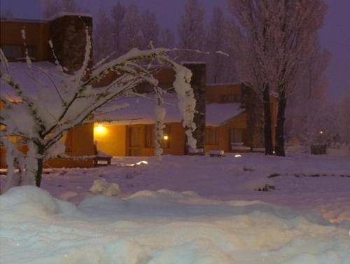 a snow covered yard with a building and a tree at Cabañas Monte Coiron in Malargüe