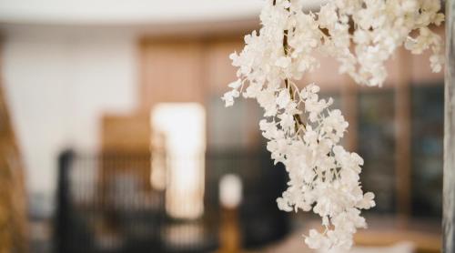 a bunch of white flowers hanging from a pole at Aelia Wellness Retreat in Nicosia