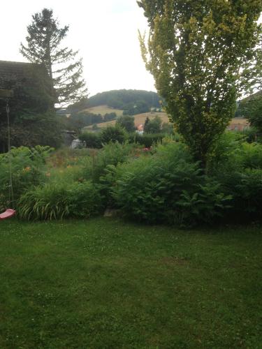 a garden with green bushes and a tree at Josefine in Waldkappel