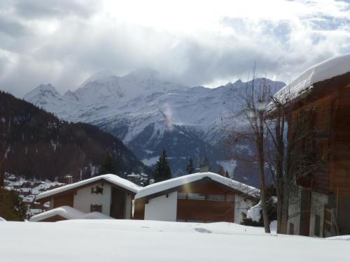 Beautiful Verbier Le Renard