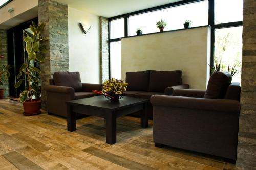 a lobby with couches and a coffee table and windows at Pension Pîrîu' Morii in Gura Humorului