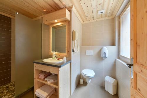 Loc'Hotel Alpen Sports في لي جيه: حمام مع حوض ومرحاض