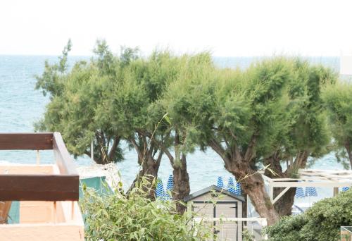 Φυσικό τοπίο κοντά σε αυτό το διαμέρισμα